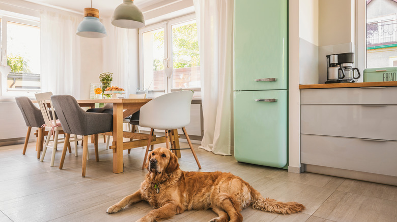 Kitchen with mint green fridge