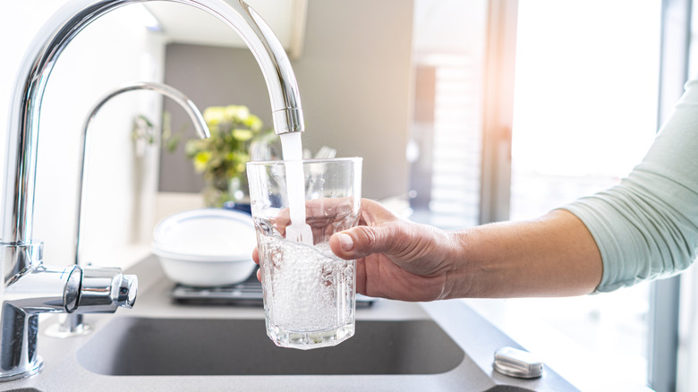 Woman filling glass cup with water from sink