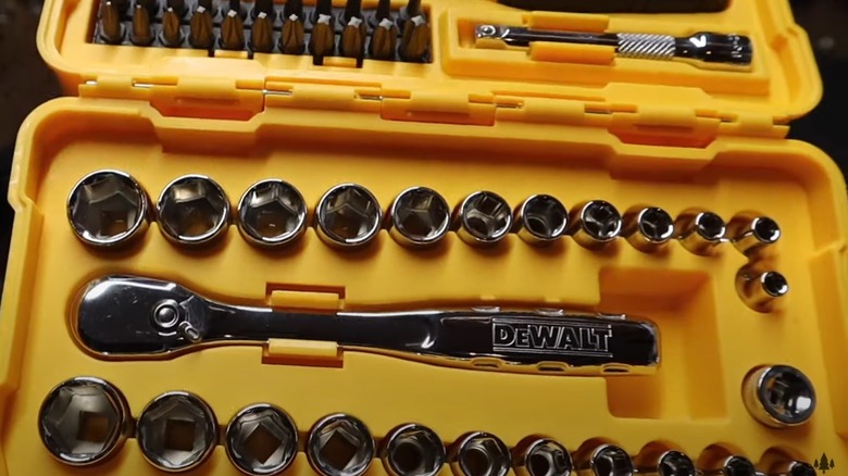 Person holding a DeWalt mechanics tool set