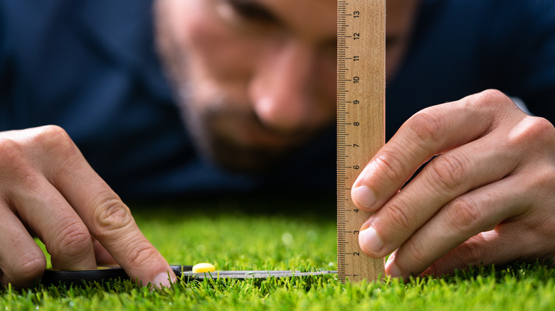 man measuring grass height