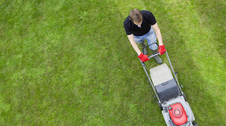 above shot man running lawnmower