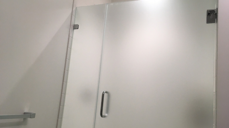 Frosted glass shower door with silver handle