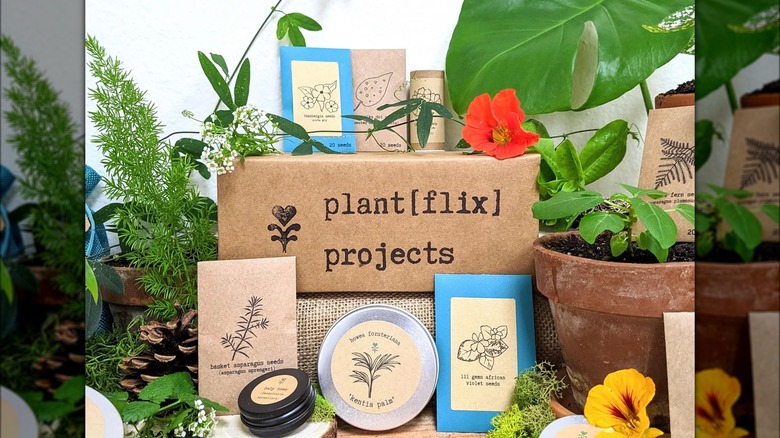 Seeds and plants on table