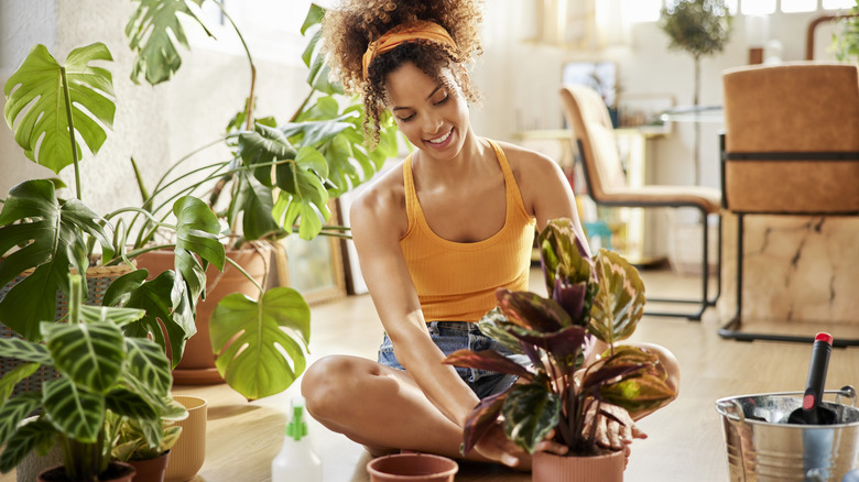 Woman potting houseplants