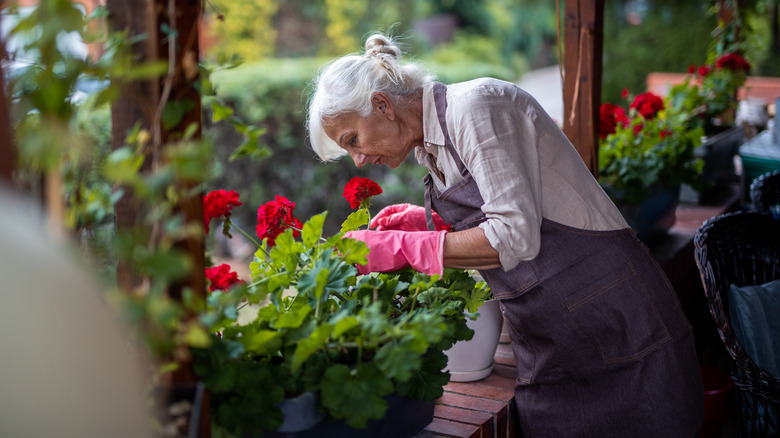 woman taking care of flowers