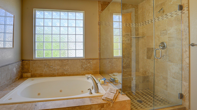 Bathroom with glass block windows