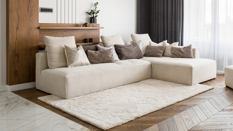 Light-colored rug on dark floor