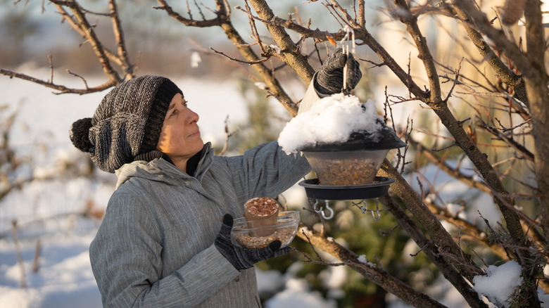 Person hanging birdfeeder in snow