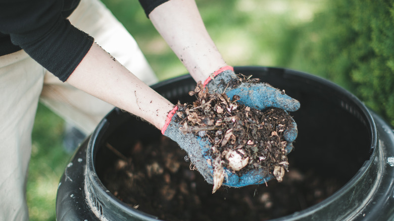 Hands over a compost bin