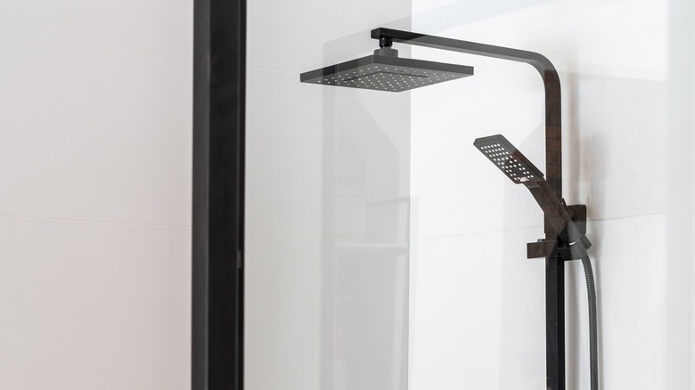 Black dual shower head unit