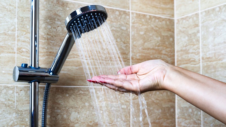 modern shower head in bathroom