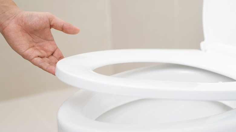 person lifting toilet seat