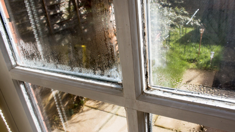 Damaged window with moisture