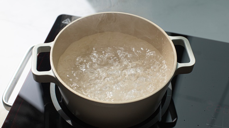 pot of water boiling on stove