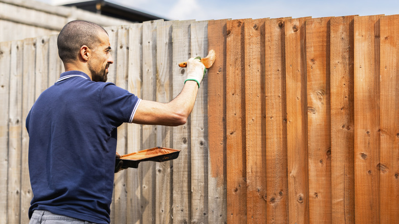 Man staining fence