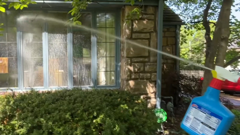 Spraying Windex Outdoor window and glass cleaner on an exterior window