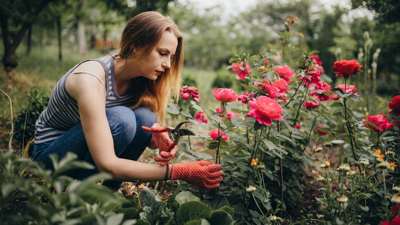 Woman gardening