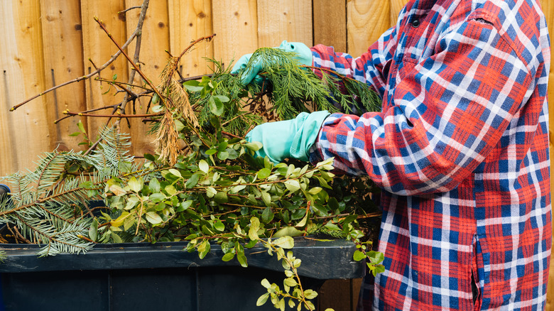 Person putting yard clippings in trash