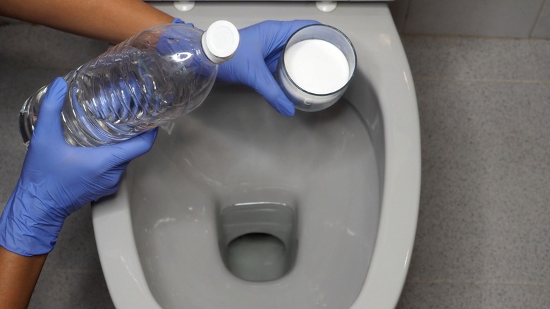 person pouring baking soda in toilet