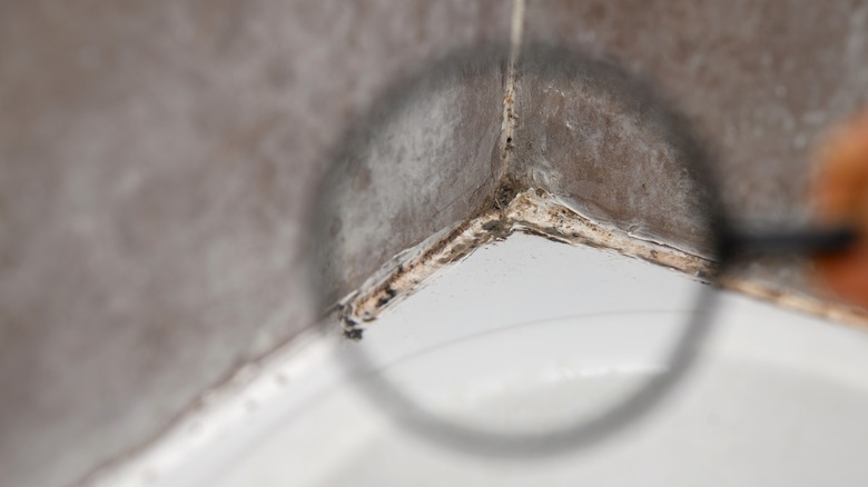 mold in bathroom