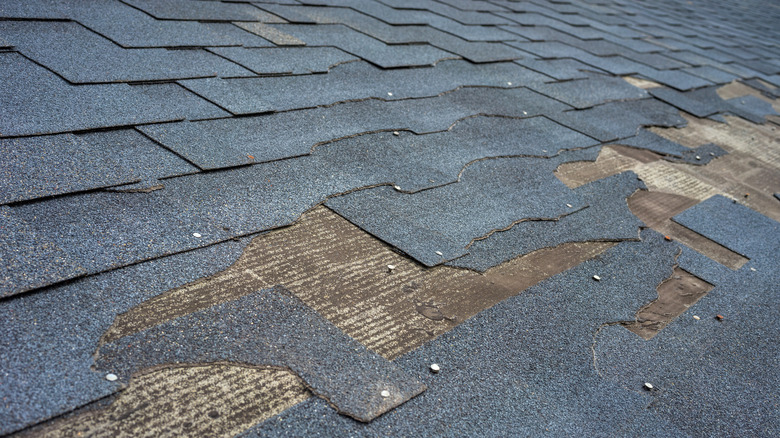 damaged shingles on roof