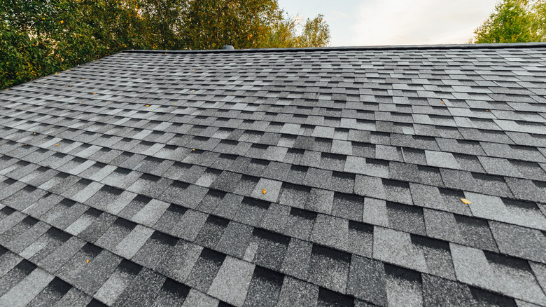 Asphalt Vs Fiberglass Shingles Which Is Better 