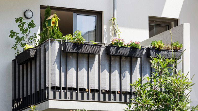 balcony with bird house