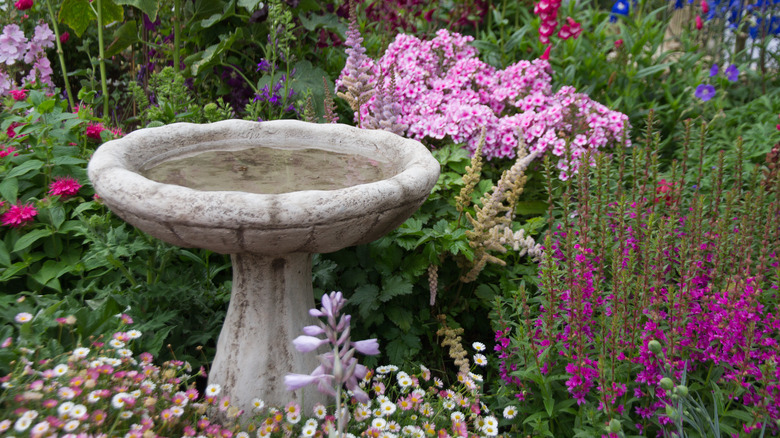 A birdbath in a garden