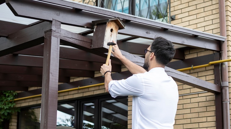 man putting bird box up by house