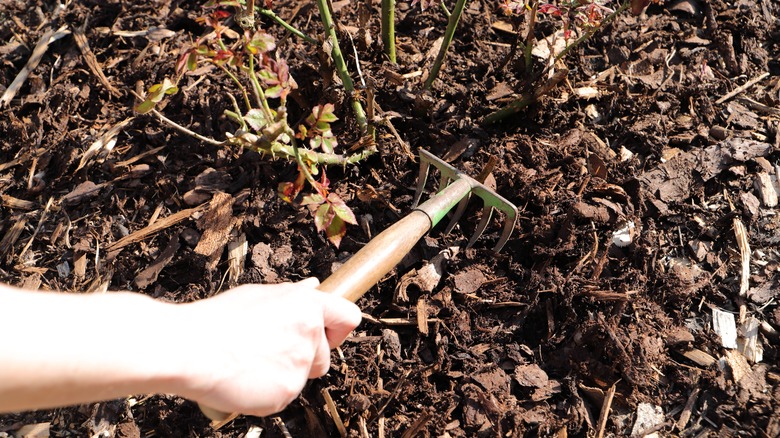 Person moving mulch with tool