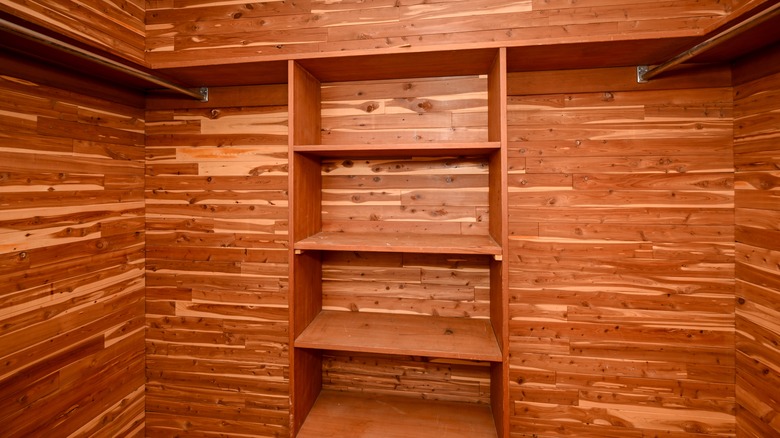 interior cedar closet