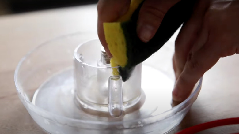 Close-up of hand scrubbing hummingbird feeder with sponge