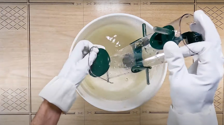 Gloved hands putting bird feeder in liquid solution