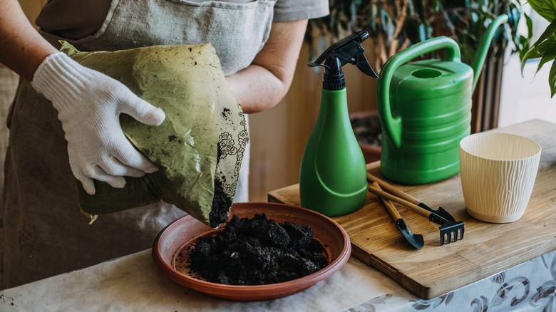 woman mixing soil indoors