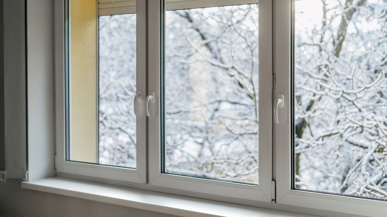 Window with snow on trees outside