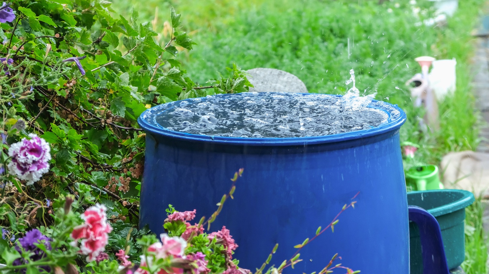 Avoid These Common Mistakes When Using A Rain Barrel