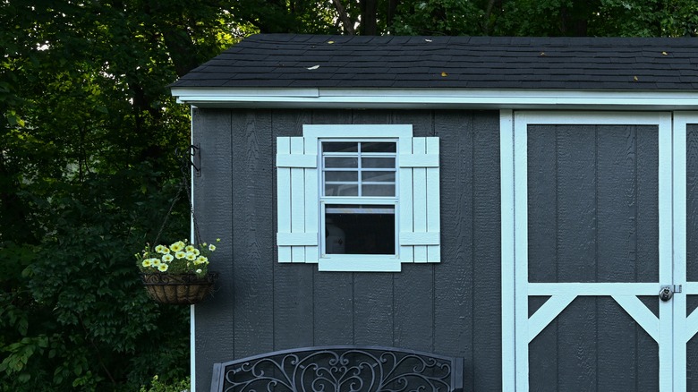 Backyard shed with a window