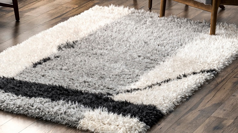 shag rug in floor