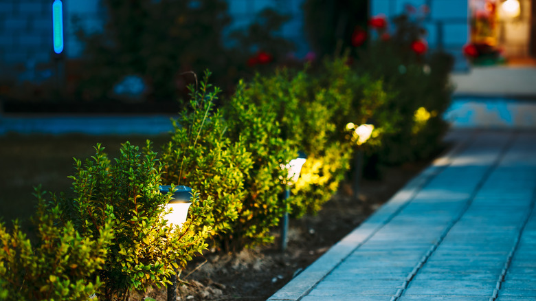 Solar lights offering a subtle glow on a walkway