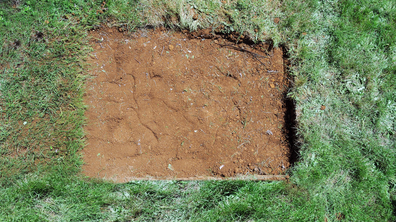 square patch of dirt for sod