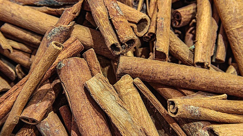 Cinnamon sticks upclose