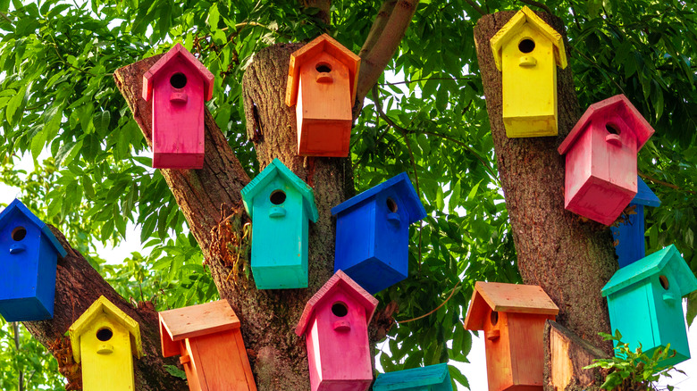 decorative birdhouses hanging on trees