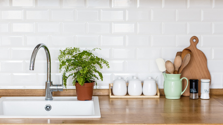 A maidenhair fern sits next to a sink in a kitchen.