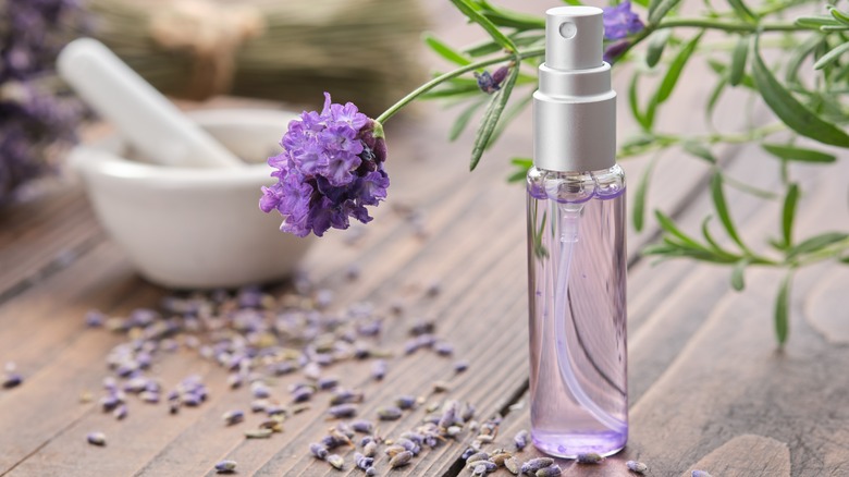 lavender spray