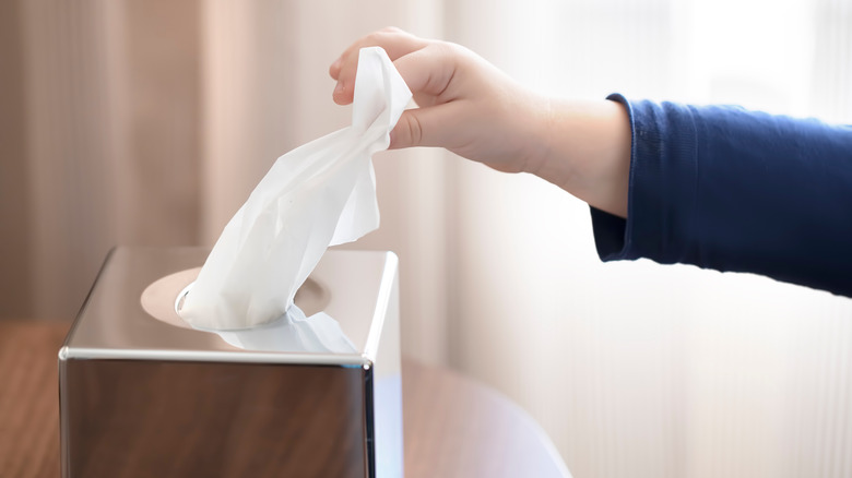 child pulling facial tissue