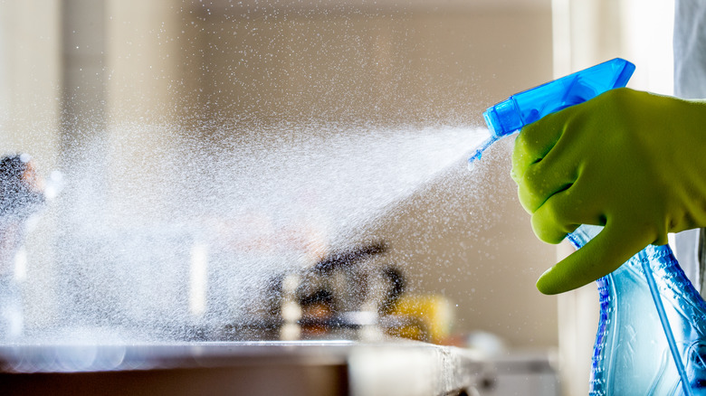 Gloved hand sprays cleaner on counter