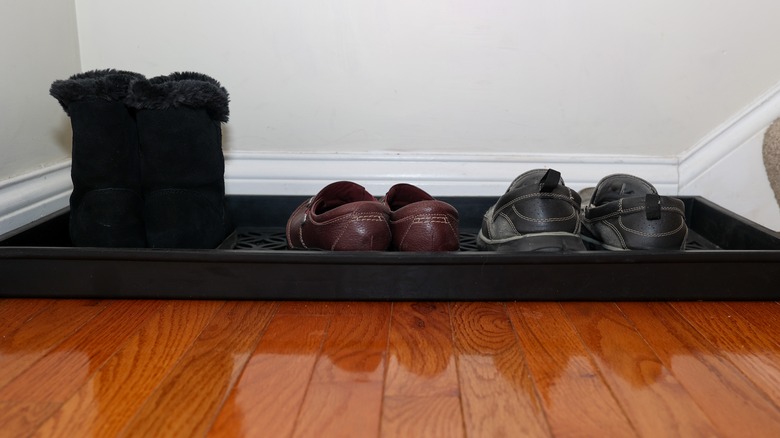 Pair of shoes on tray