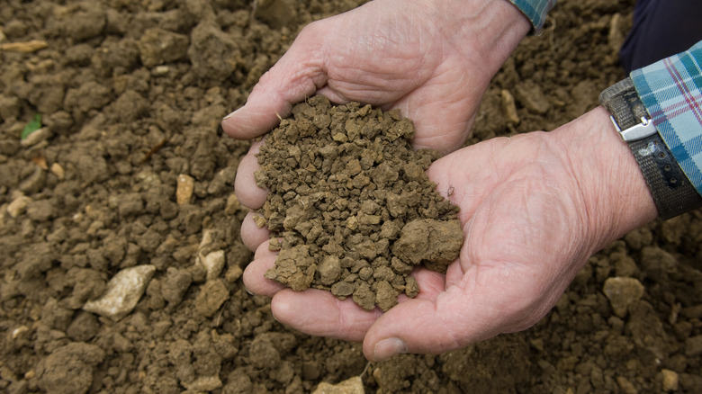 Clay-like soil