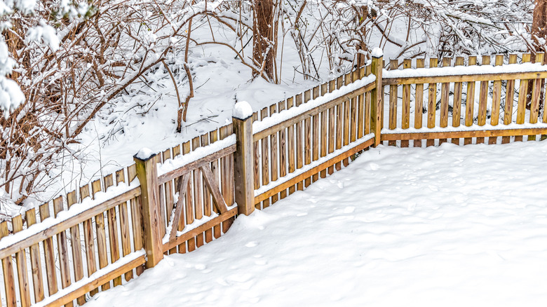 Wooden fence covered in snow