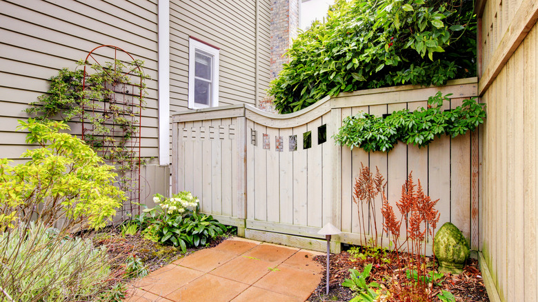 Closed backyard fence with plants